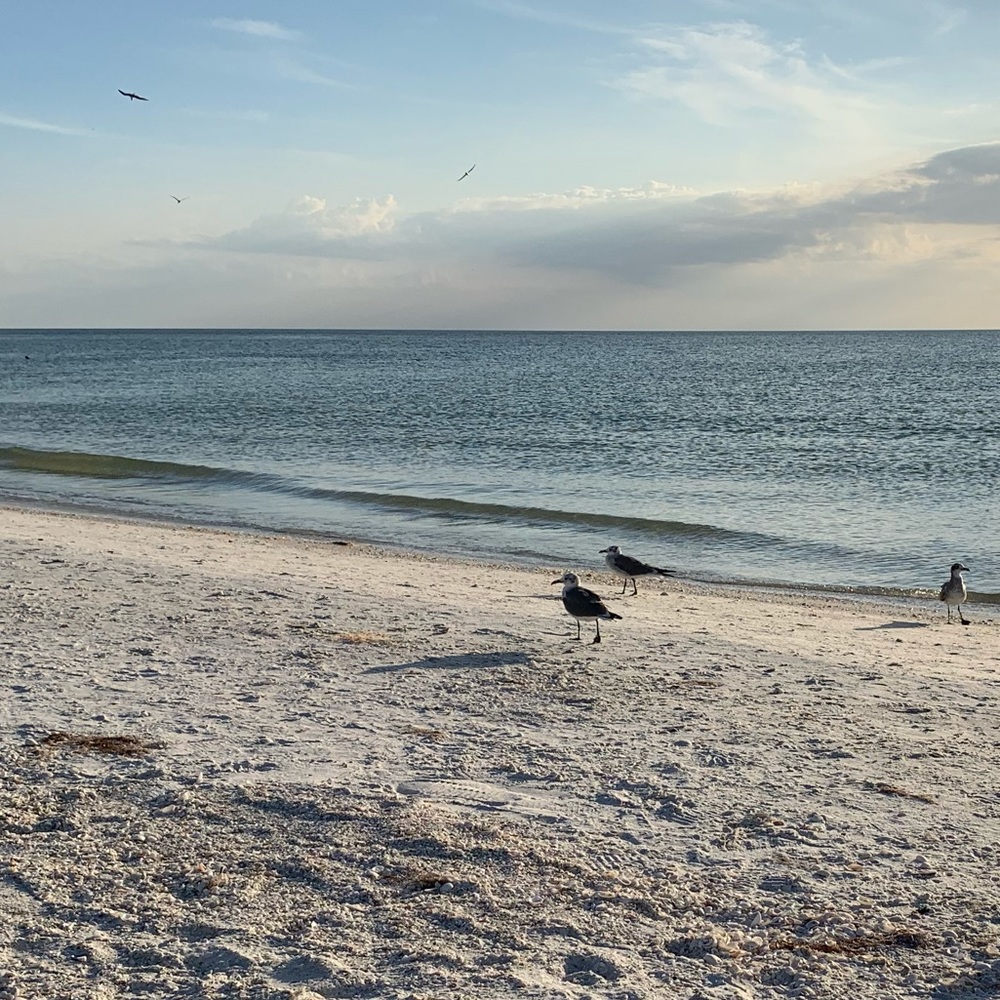 Meet your Posher, Lindsay